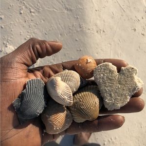 Meet your Posher, Cryptoverse